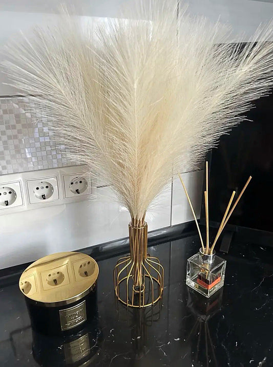 Pampas pluimen Witte Creme